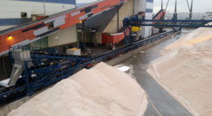 salt production facility conveyor